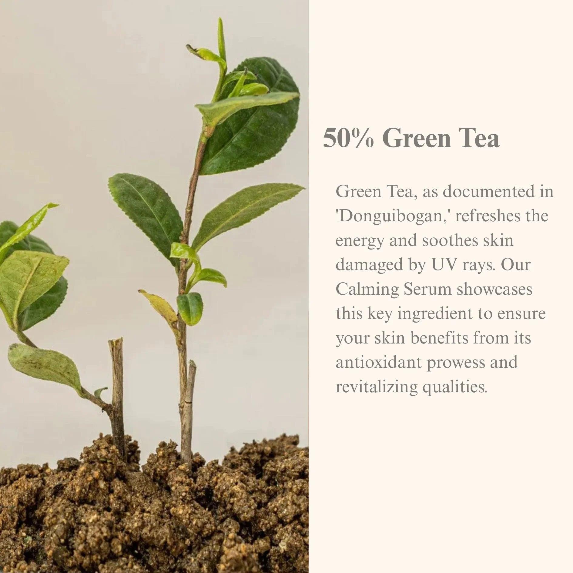 Beauty of Joseon Calming Serum : Green Tea + Panthenol 30ml - Orion Beauty