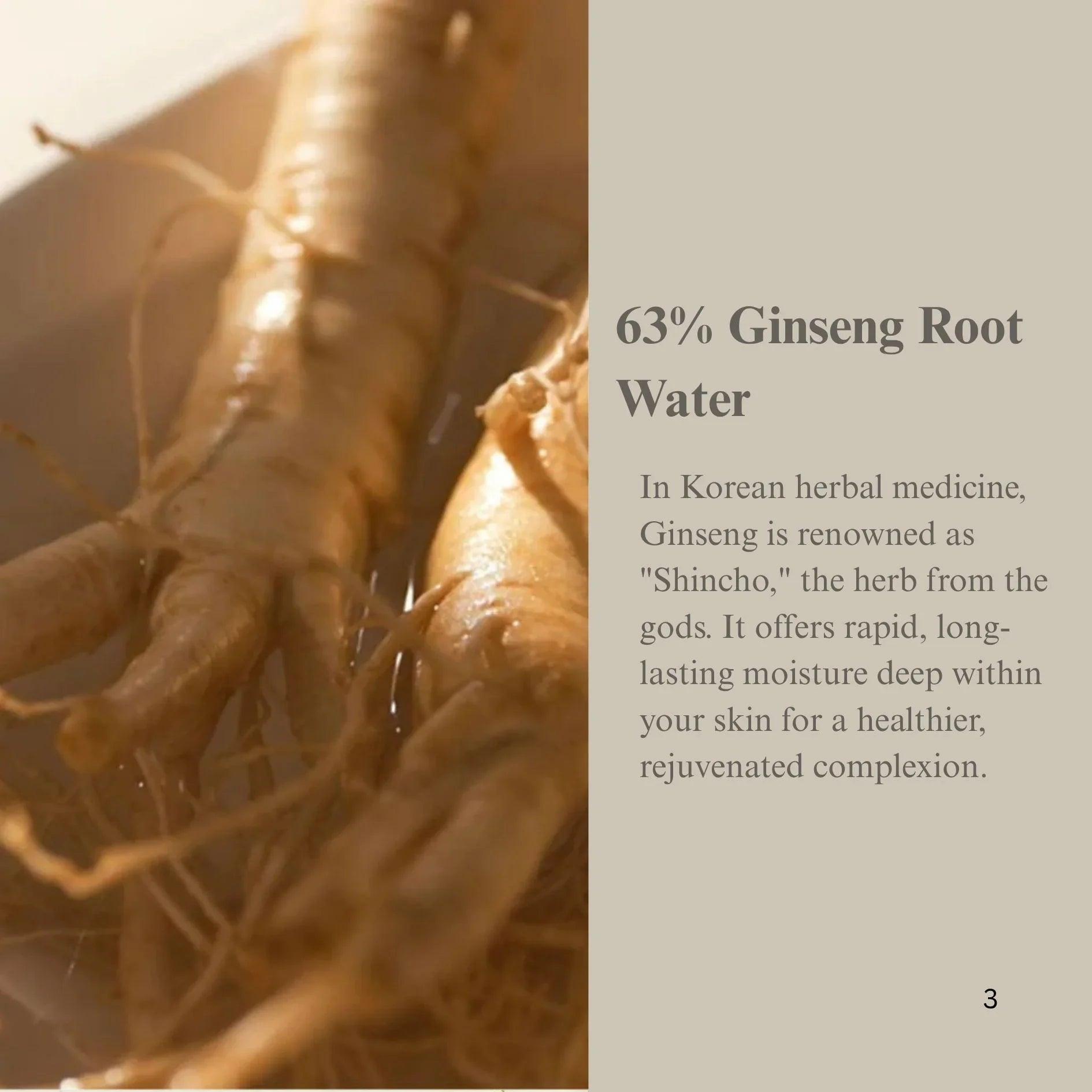 Beauty of Joseon Revive Serum : Ginseng + Snail Mucin 30ml - Orion Beauty