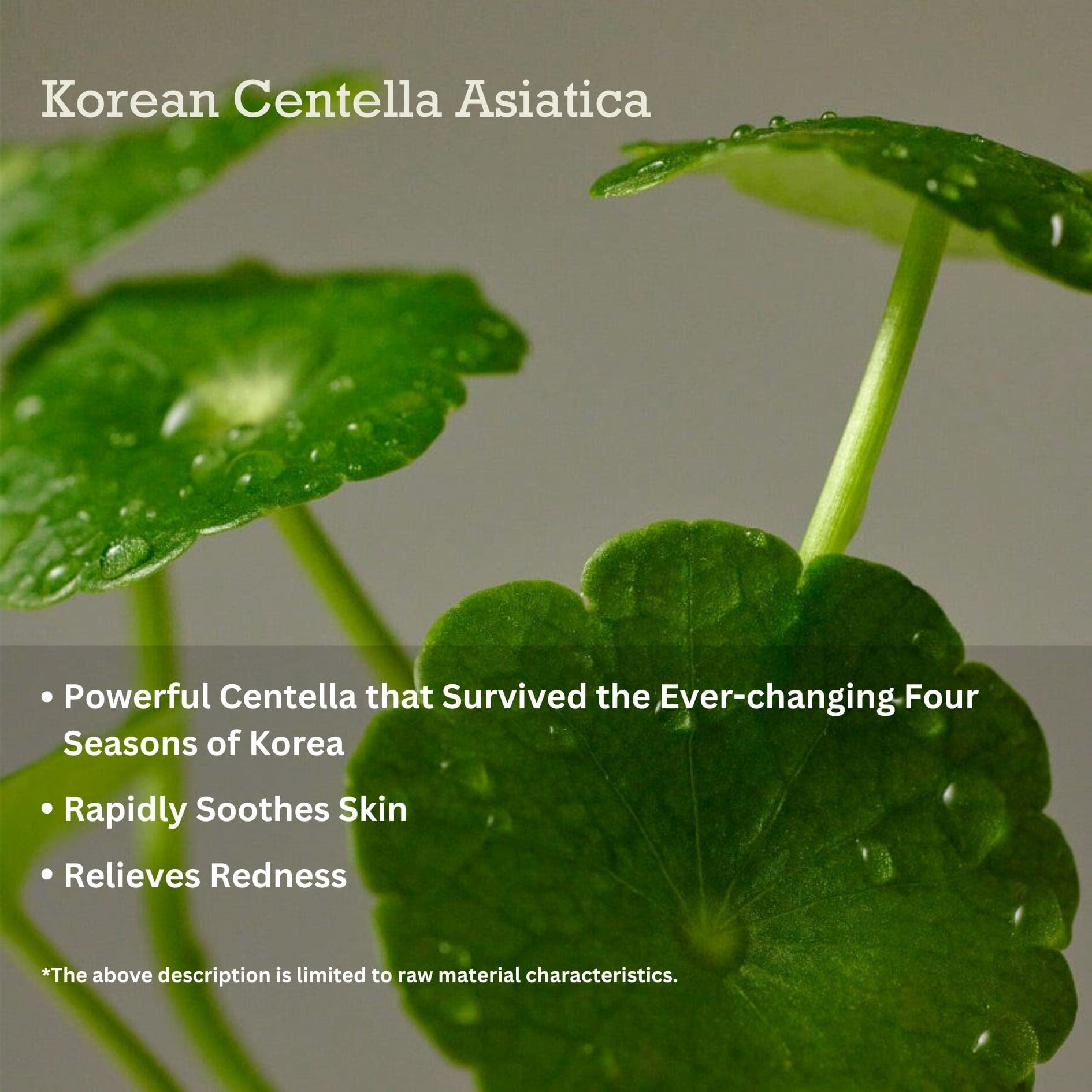 PURITO SEOUL Wonder Releaf Centella Cream Unscented 1ml (Pouch Sample), at Orion Beauty. SKIN1004 Official Sole Authorized Retailer in Sri Lanka!