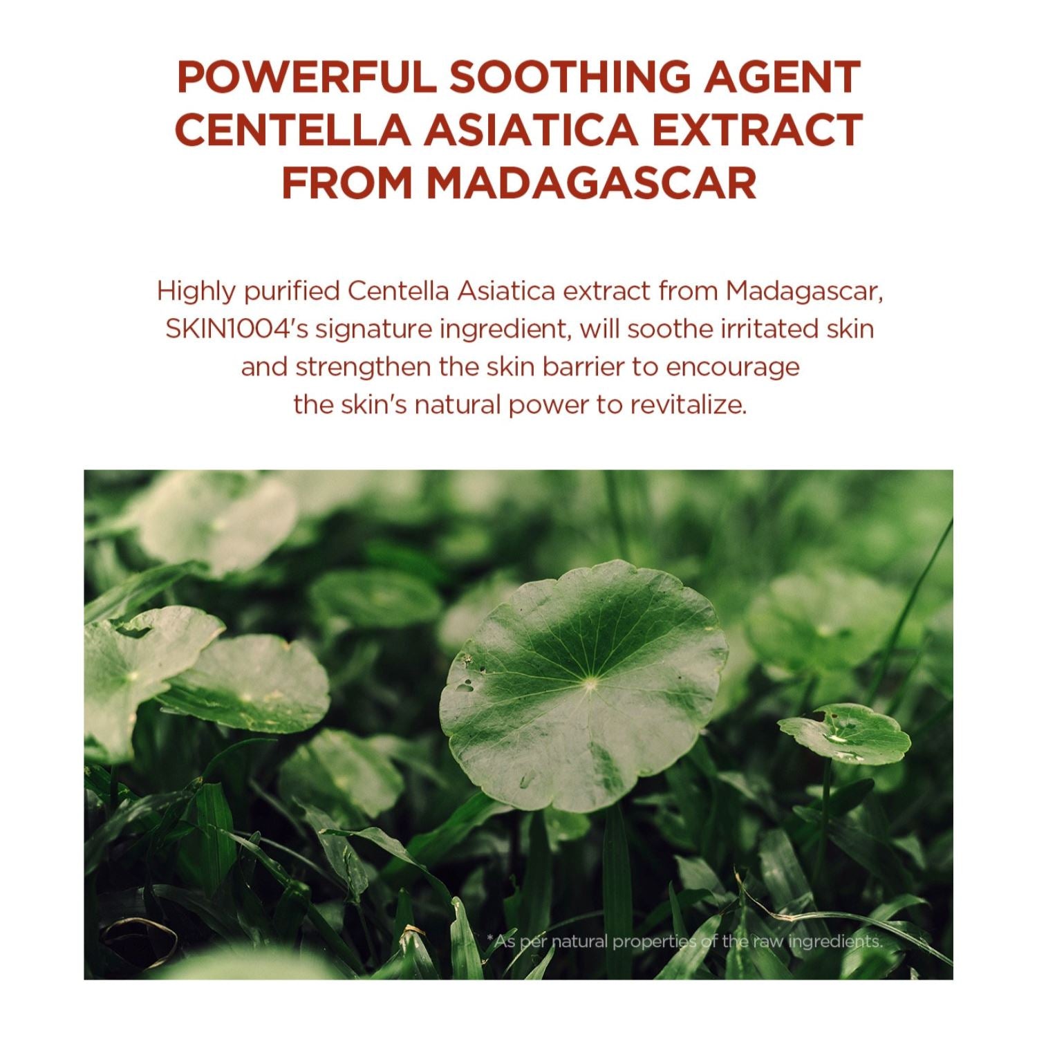 SKIN1004 Madagascar Centella Poremizing Quick Clay Stick Mask, at Orion Beauty. SKIN1004 Official Sole Authorized Retailer in Sri Lanka!