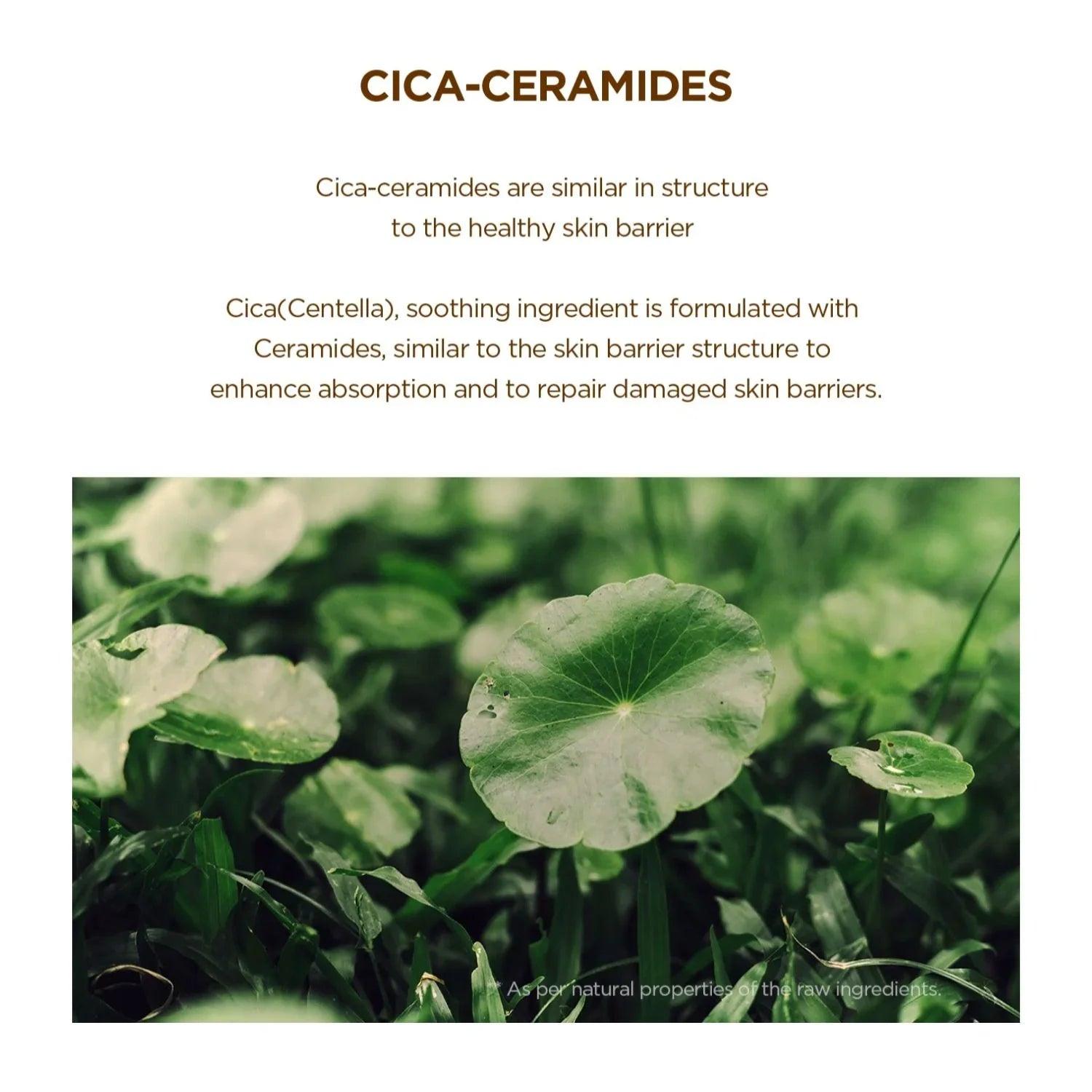 SKIN1004 Madagascar Centella Probio-Cica Bakuchiol Eye Cream 20ml - Orion Beauty