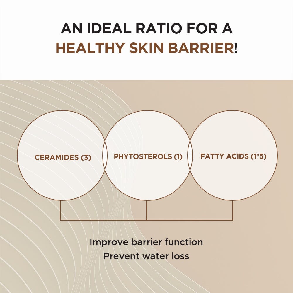 SKIN1004 Madagascar Centella Probio-Cica Intensive Ampoule 50ml, at Orion Beauty. SKIN1004 Official Sole Authorized Retailer in Sri Lanka!