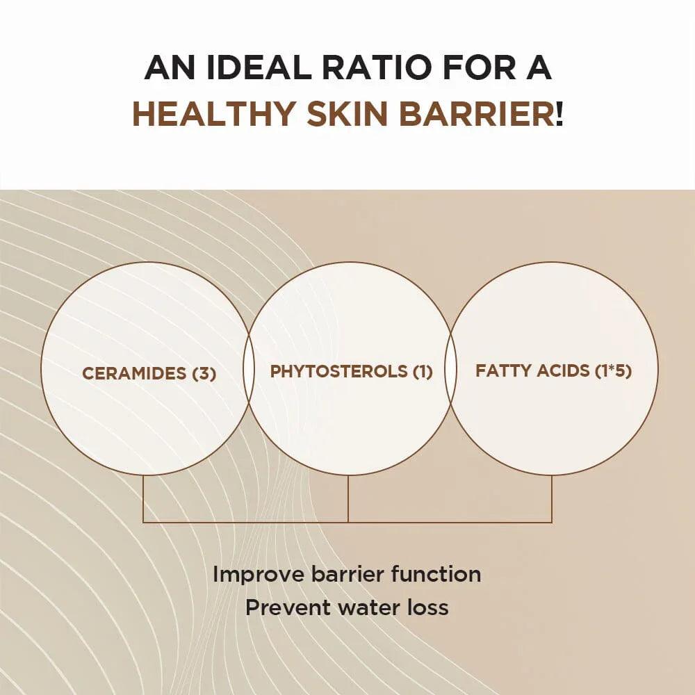 SKIN1004 Madagascar Centella Probio-Cica Intensive Ampoule 50ml - Orion Beauty
