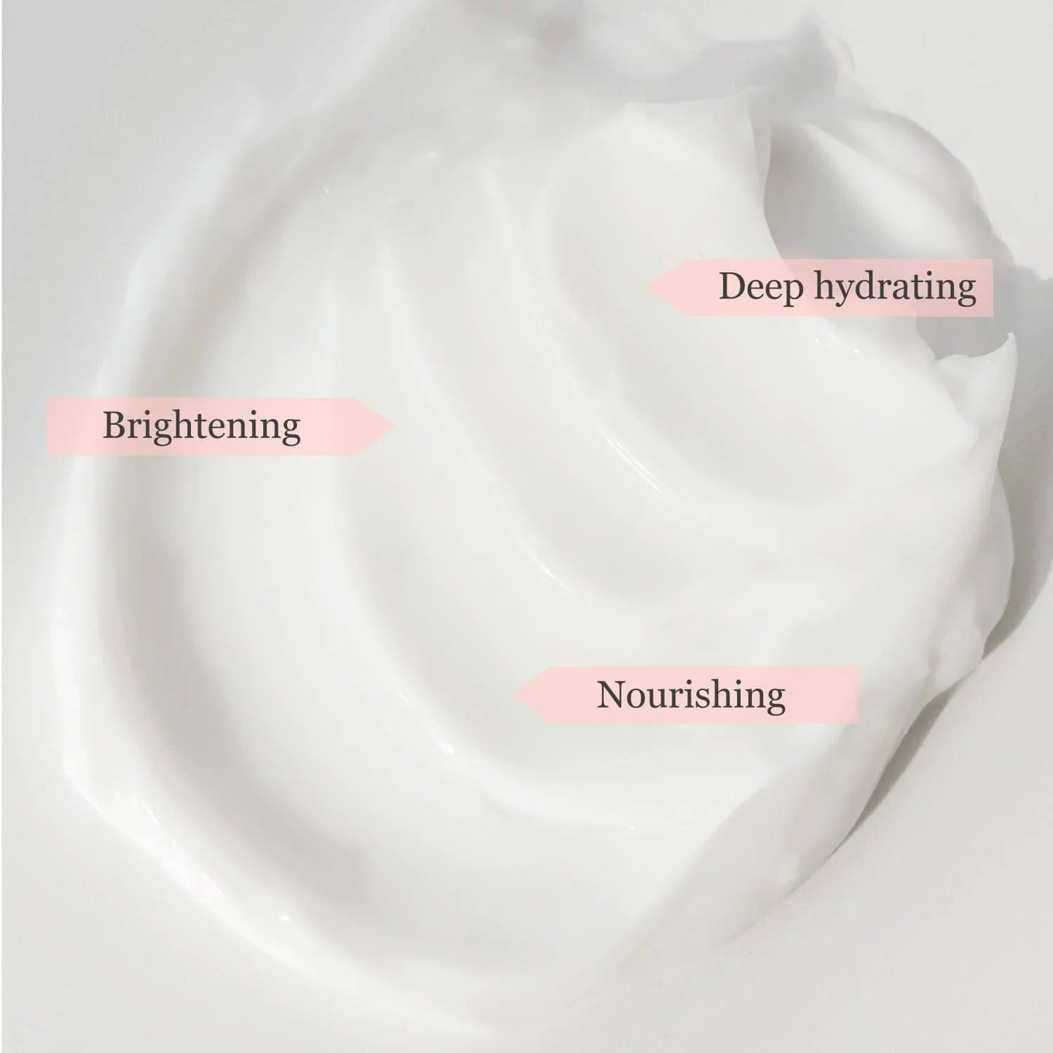 beauty-of-joseon-dynasty-cream-50ml-skin-care-beauty-of-joseon-sri-lanka-orion-beauty-beauty-of-joseon-official-sole-authorised-reseller-796547 - Orion Beauty