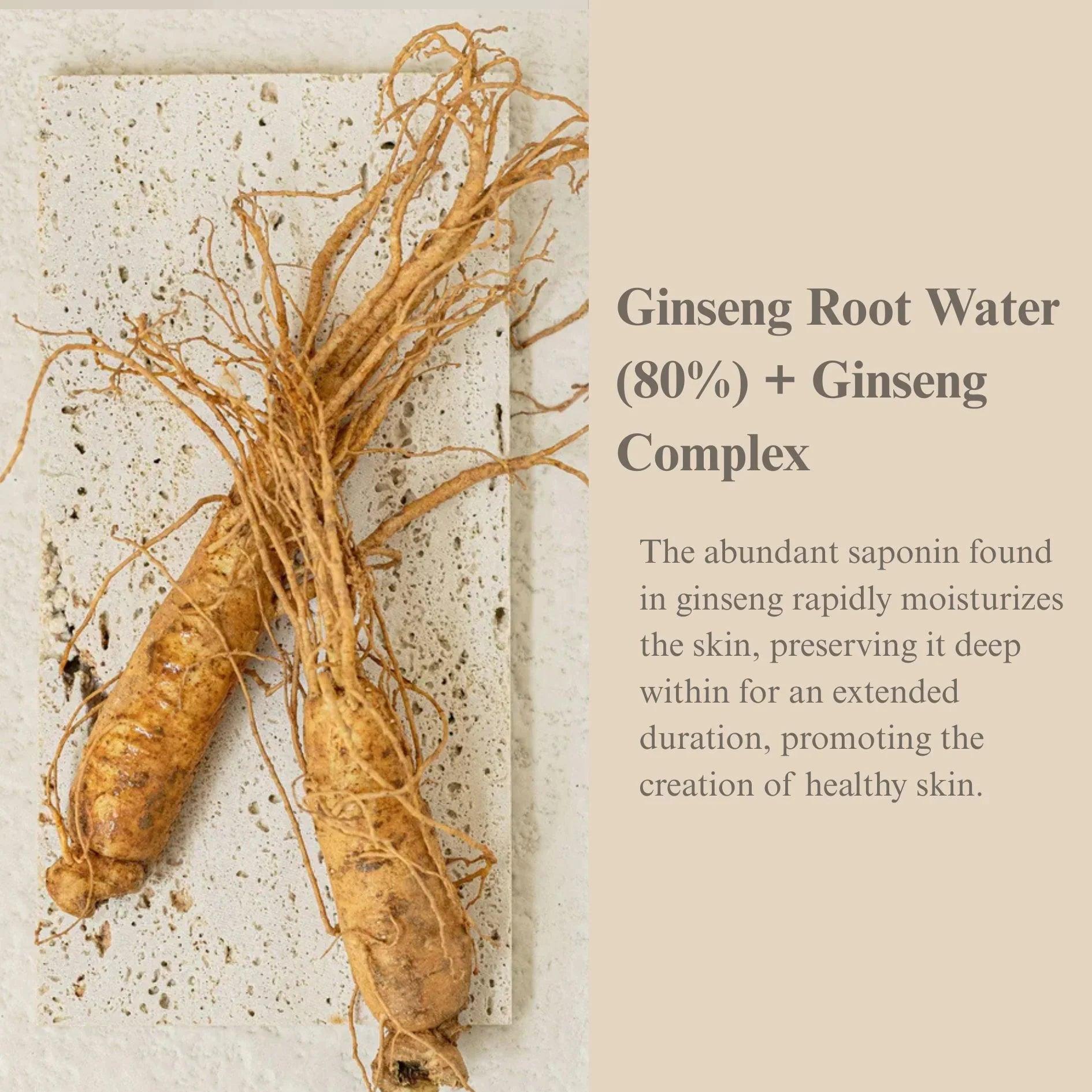 Beauty of Joseon Ginseng Essence Water 150ml - Orion Beauty