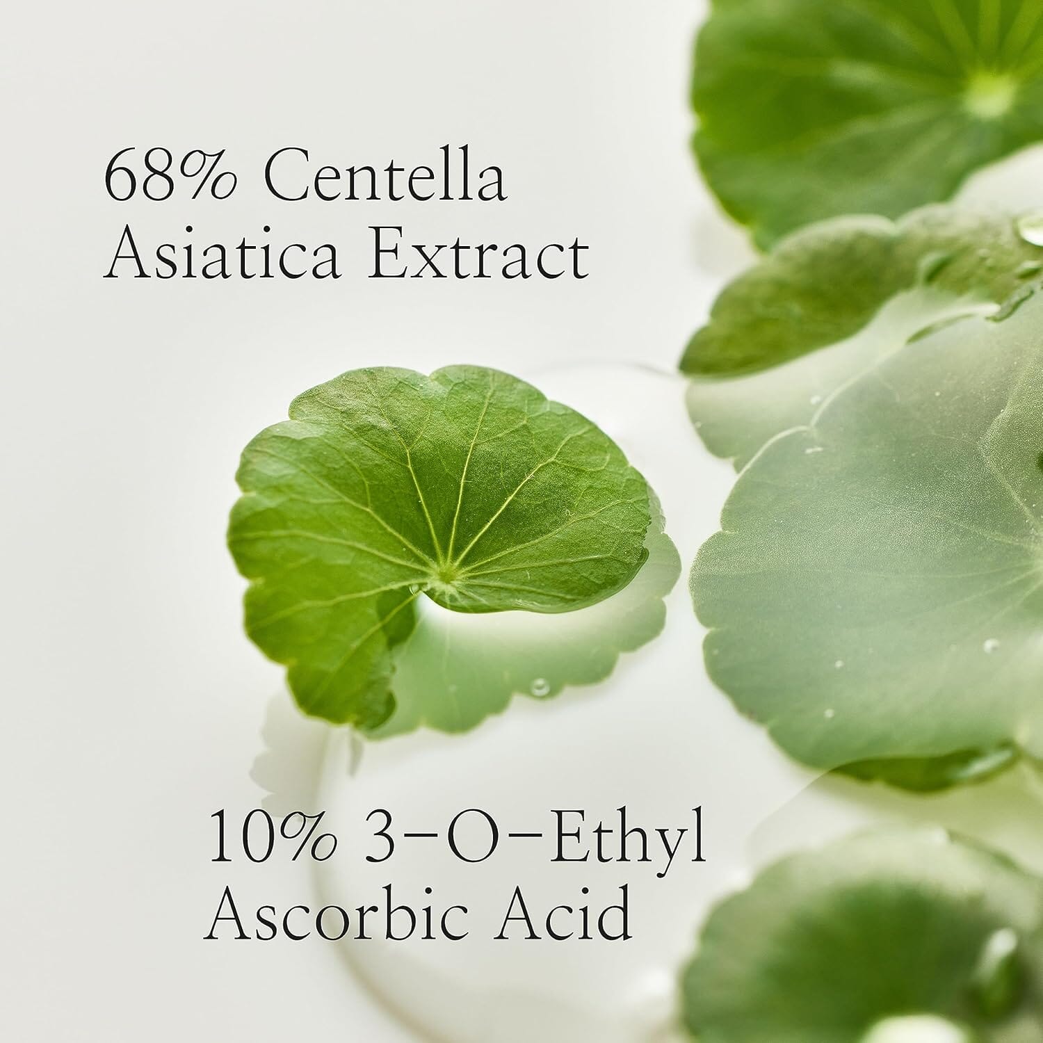 Beauty of Joseon Light On Serum : Centella + Vita C 30ml, at Orion Beauty. Beauty of Joseon Official Sole Authorized Retailer in Sri Lanka!
