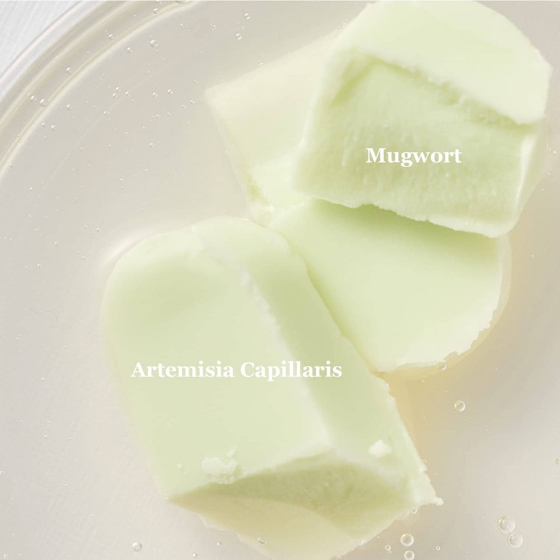 Beauty of Joseon Matte Sun Stick : Mugwort + Camelia (SPF 50+ PA++++) 18g, at Orion Beauty. Beauty of Joseon Official Sole Authorized Retailer in Sri Lanka!