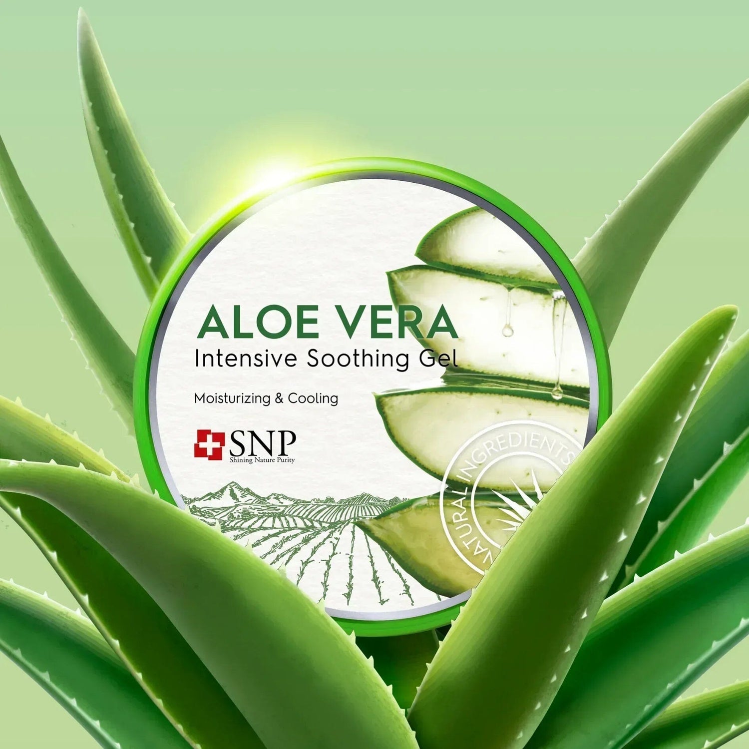 SNP Aloe Vera Intensive Soothing Gel 300g - Orion Beauty