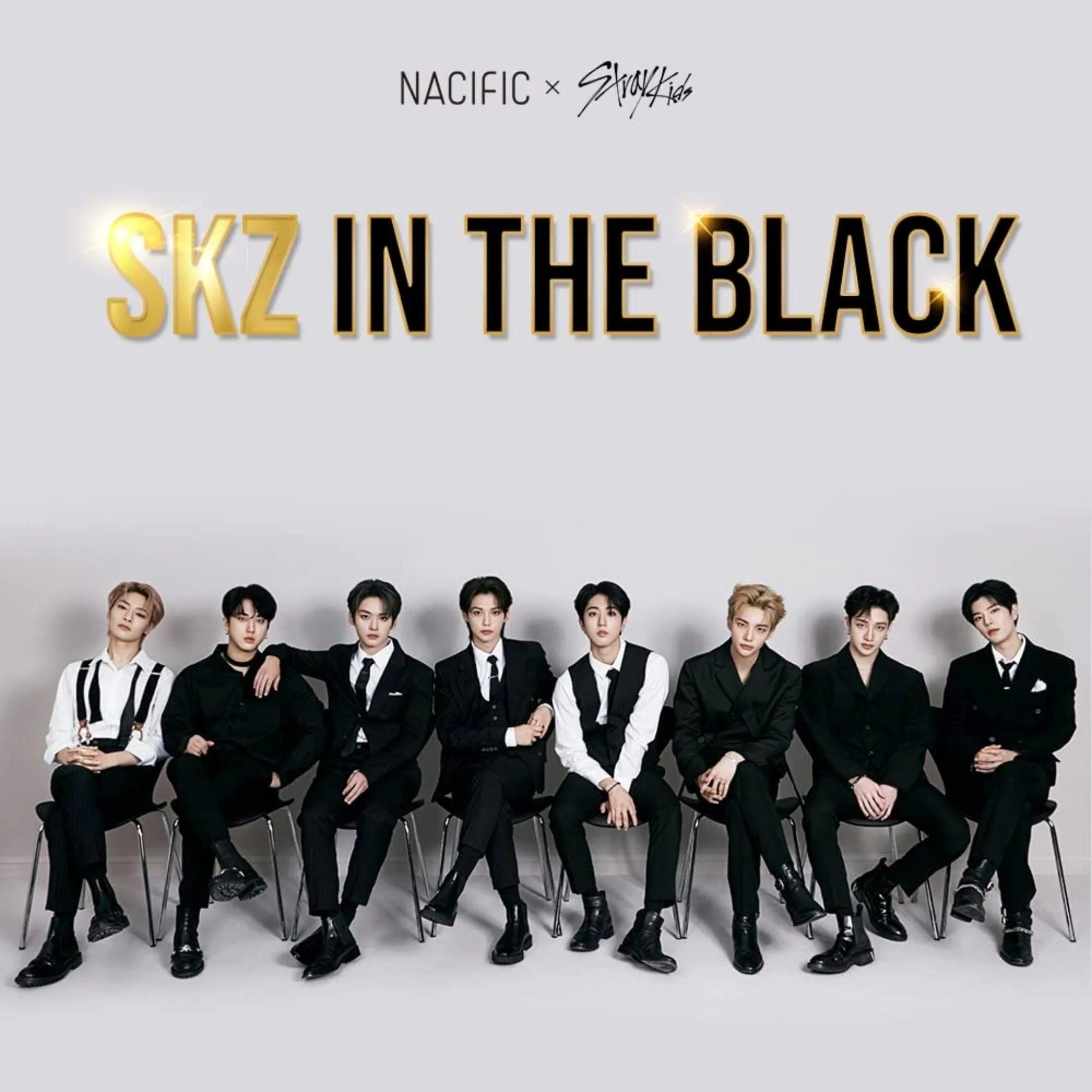 FREE GIFT | Exclusive SKZ IN THE BLACK double-sided photocards (full set!) - Orion Beauty